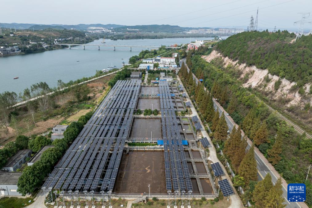 �����ˮ̎��S�����Gɫ��̼�lչ